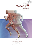 آناتومی اندام پایه و بالینی 2019